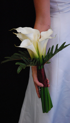 Simply Calla Flower Power, Florist Davenport FL